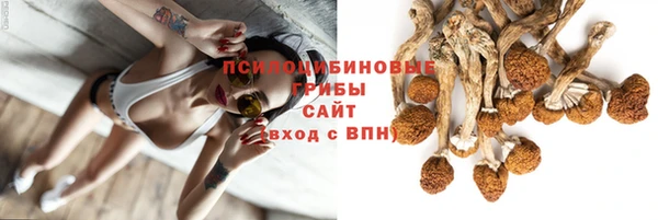 дживик Абаза