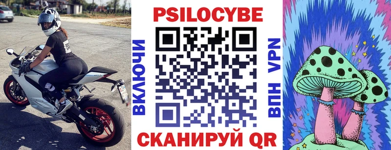 Псилоцибиновые грибы Psilocybe  Элиста 