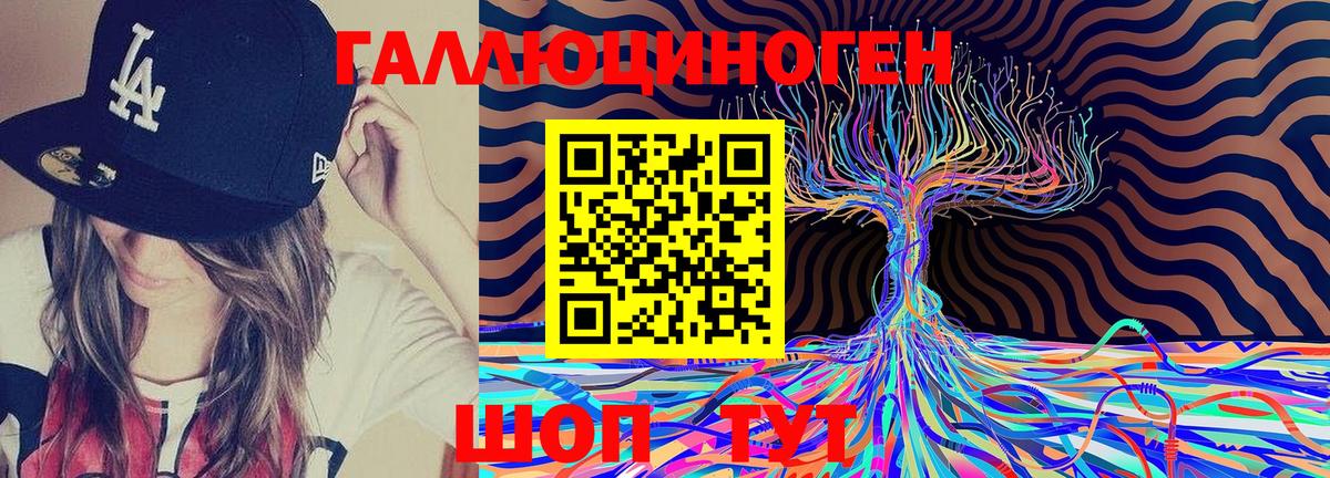 Псилоцибиновые грибы GOLDEN TEACHER  Вход с VPN  Элиста 