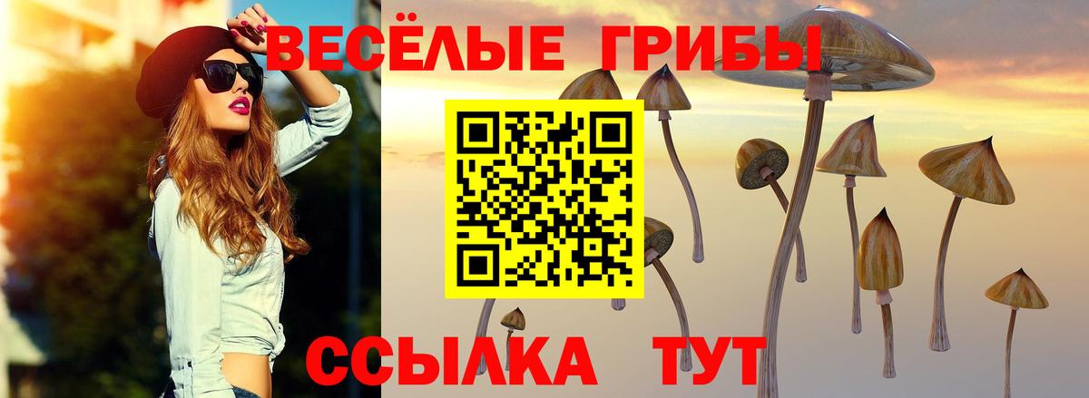 Псилоцибиновые грибы Psilocybine cubensis Элиста