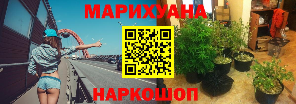 МАРИХУАНА марихуана  Марихуана Bruce Banner  Конопля планчик  Вход с VPN  Элиста 